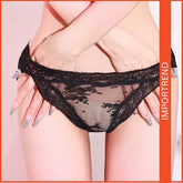 Lace low-Waist Briefs Sheer Mesh Underwear